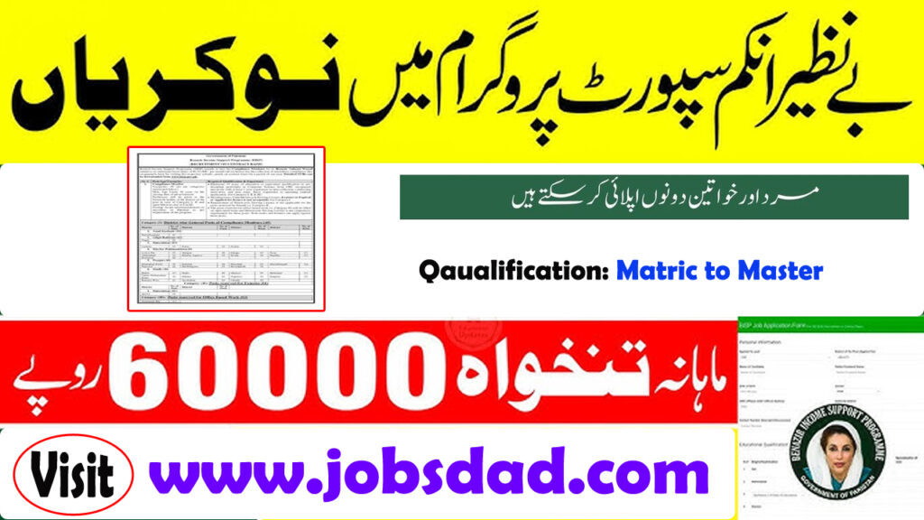 BISP Jobs 2025 - Latest Advertisement Apply Online